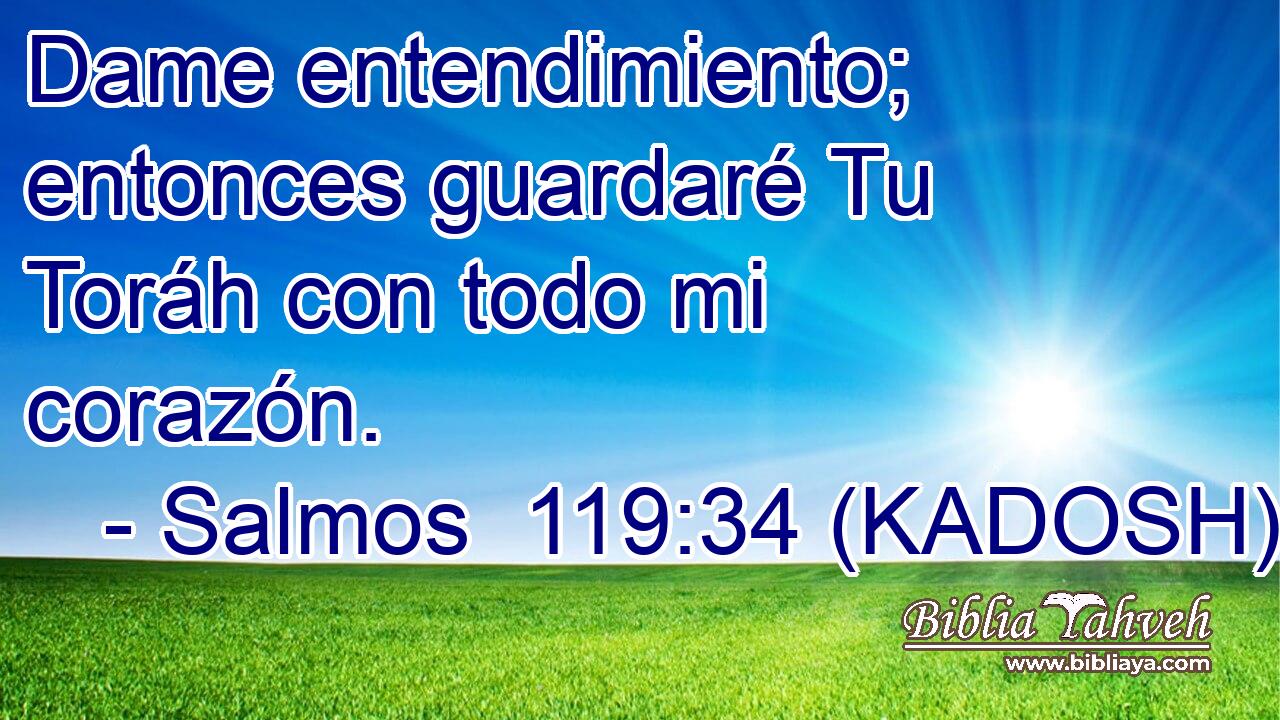  Dame entendimiento; entonces guardaré Tu Toráh con todo mi corazón. 