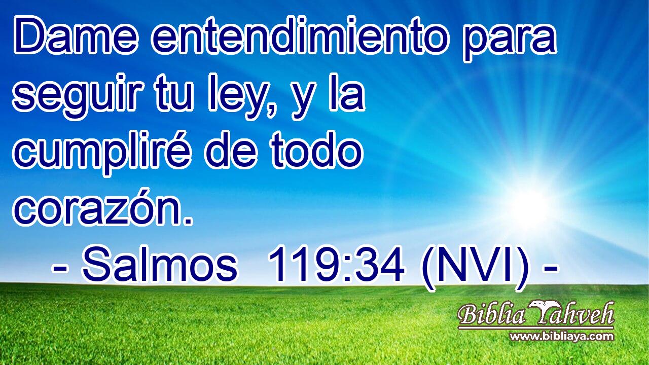  Dame entendimiento para seguir tu ley, y la cumpliré de todo corazón. 