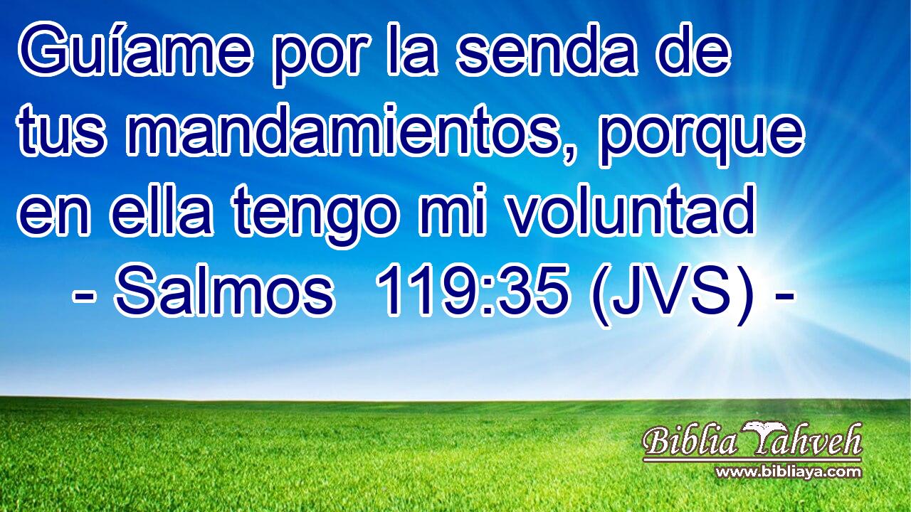 Guíame por la senda de tus mandamientos, porque en ella tengo mi voluntad