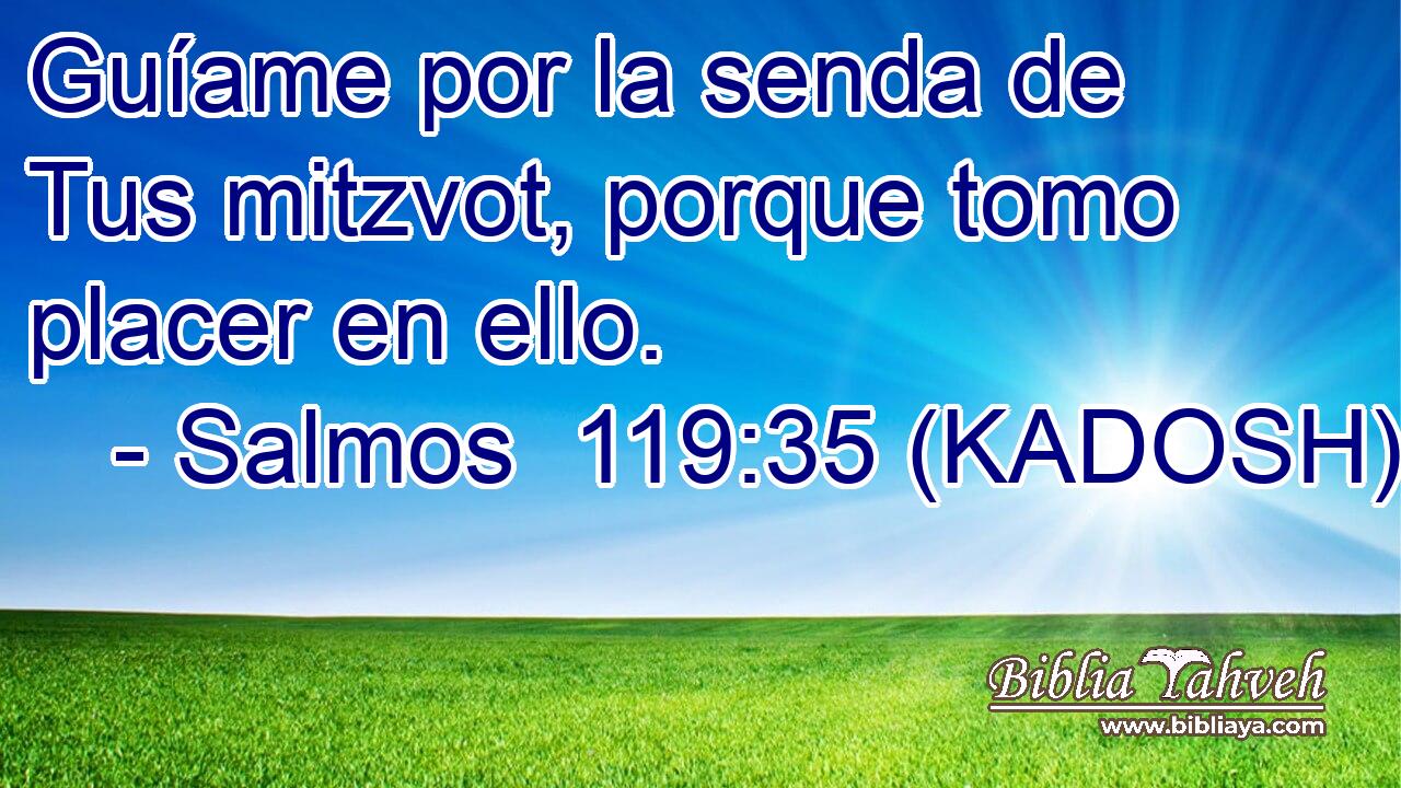  Guíame por la senda de Tus mitzvot, porque tomo placer en ello. 