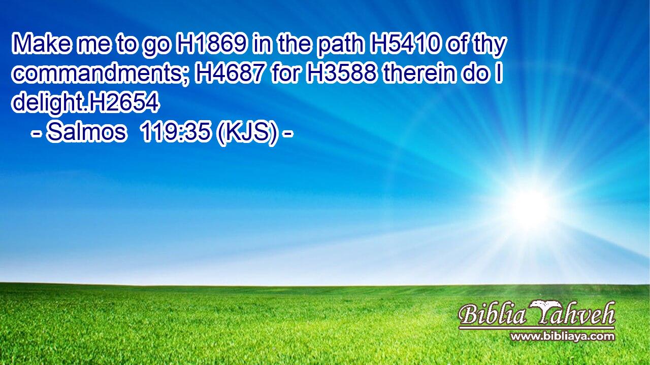 Make me to go H1869 in the path H5410 of thy commandments; H4687 for H3588 therein do I delight.H2654
