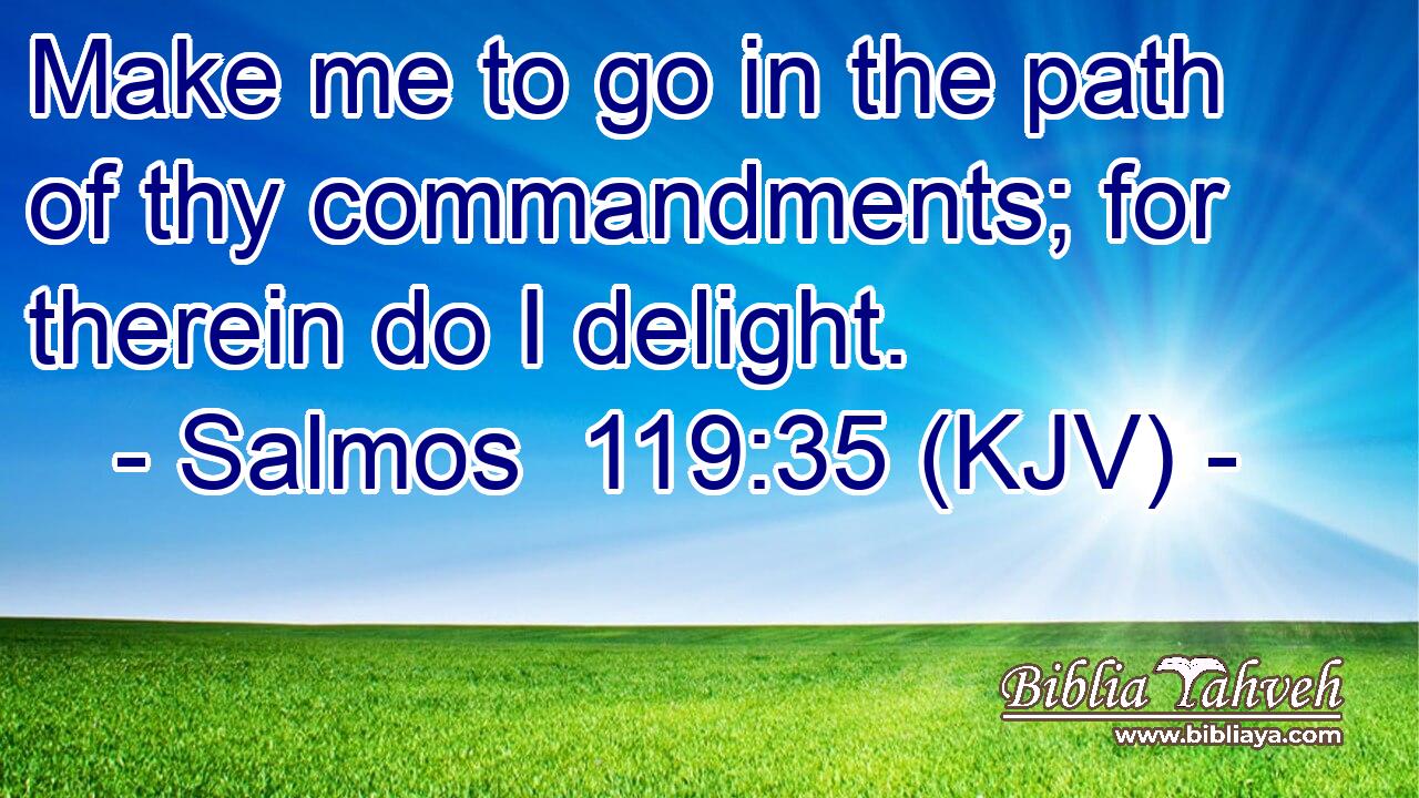 Make me to go in the path of thy commandments; for therein do I delight.