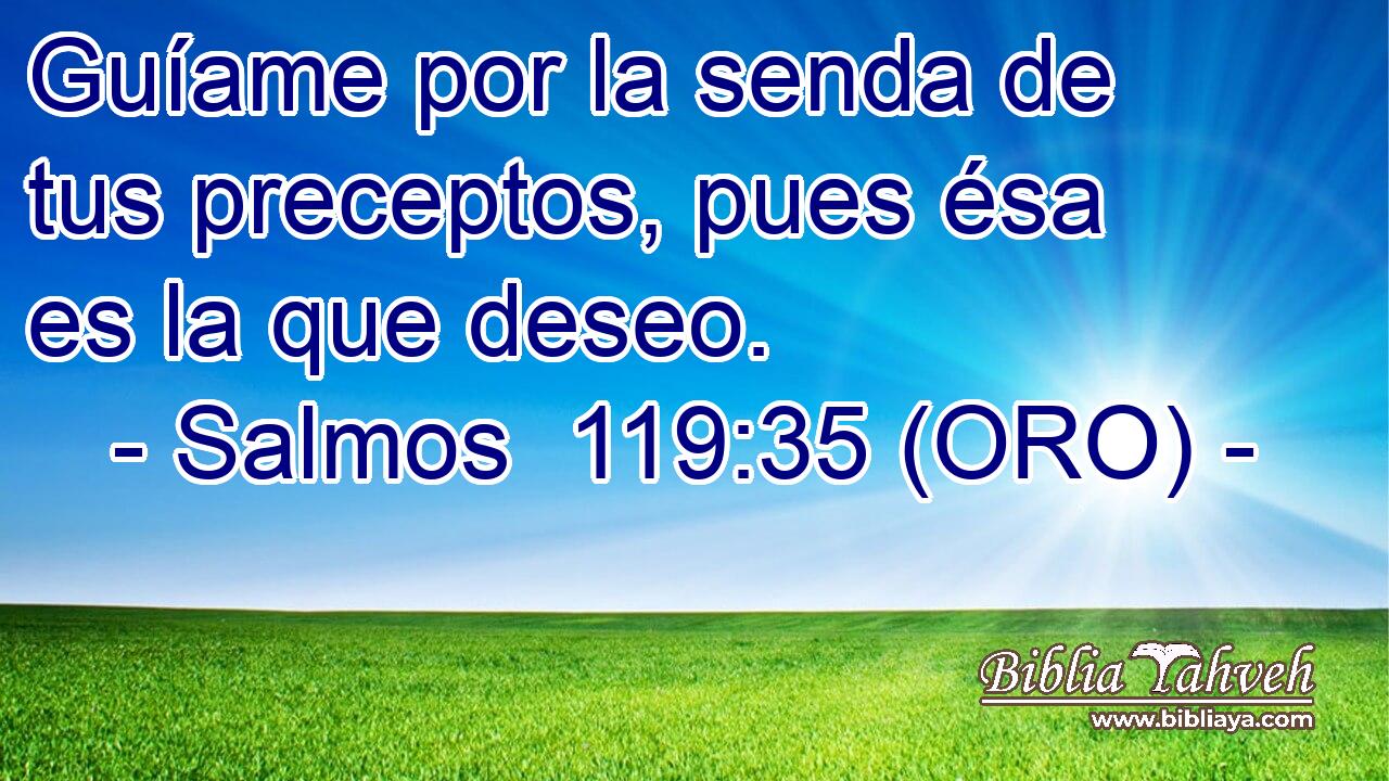  Guíame por la senda de tus preceptos, pues ésa es la que deseo. 