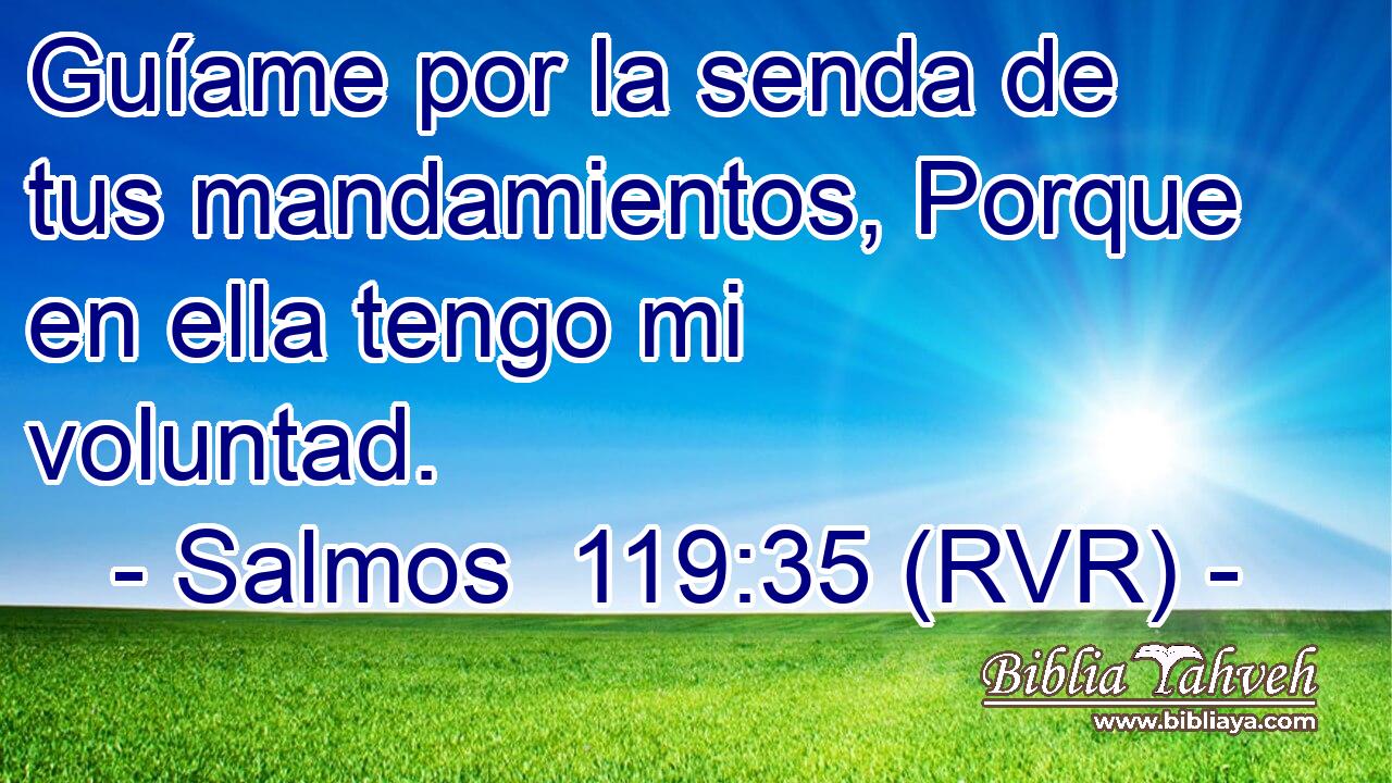 Guíame por la senda de tus mandamientos, Porque en ella tengo mi voluntad.