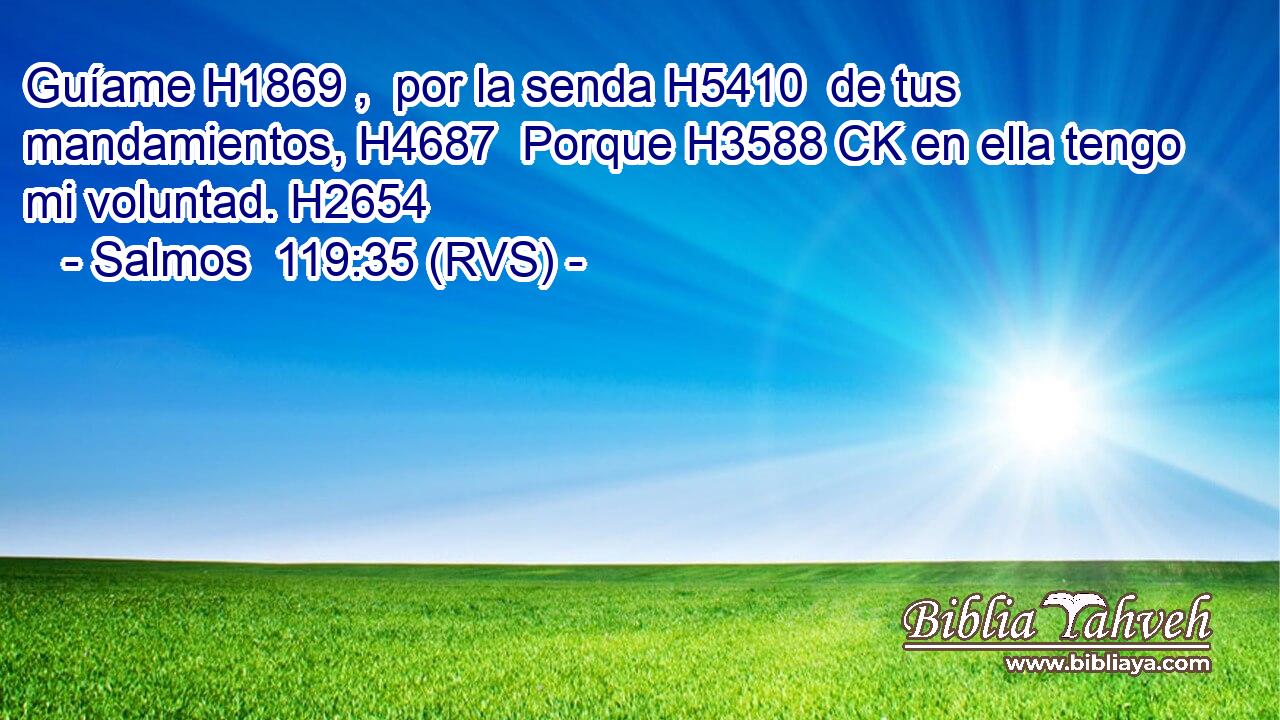 Guíame H1869 ,  por la senda H5410  de tus mandamientos, H4687  Porque H3588 CK en ella tengo mi voluntad. H2654  