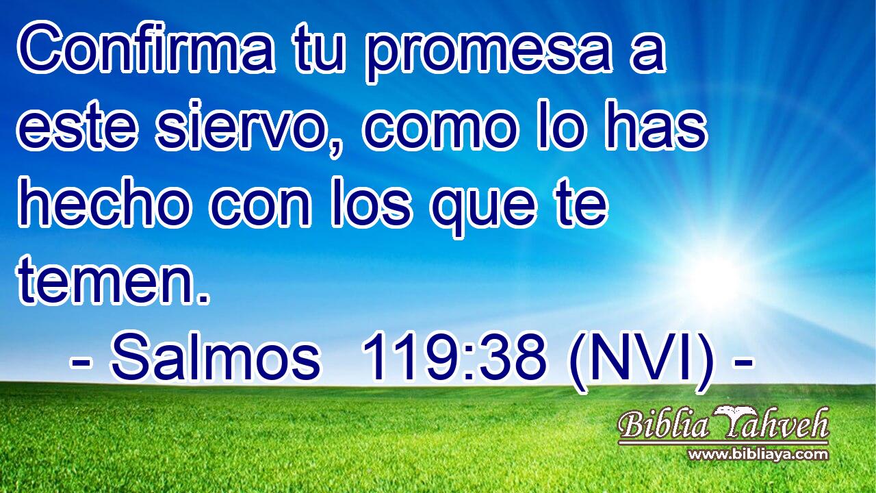  Confirma tu promesa a este siervo, como lo has hecho con los que te temen. 