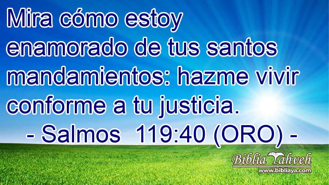  Mira cómo estoy enamorado de tus santos mandamientos: hazme vivir conforme a tu justicia. 