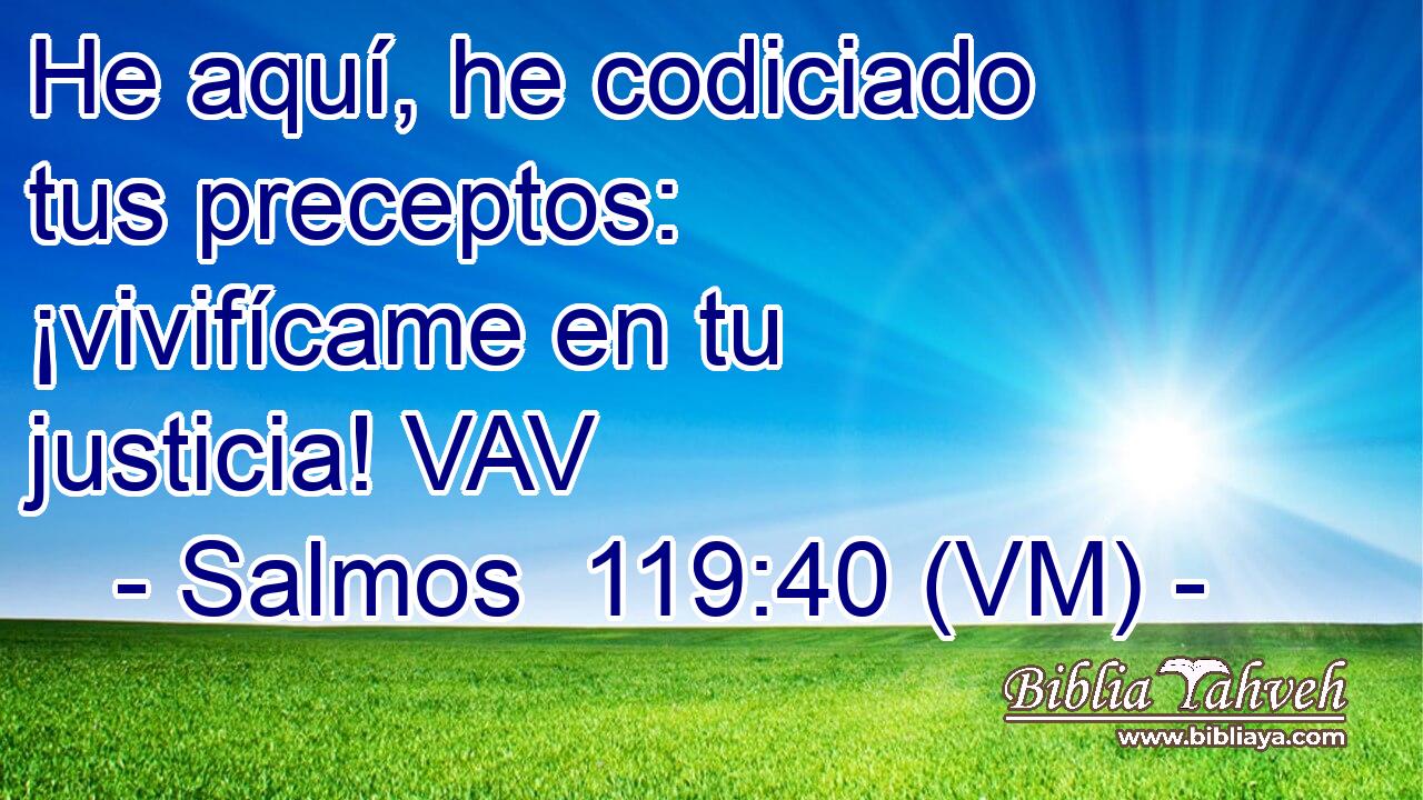  He aquí, he codiciado tus preceptos: ¡vivifícame en tu justicia! VAV 