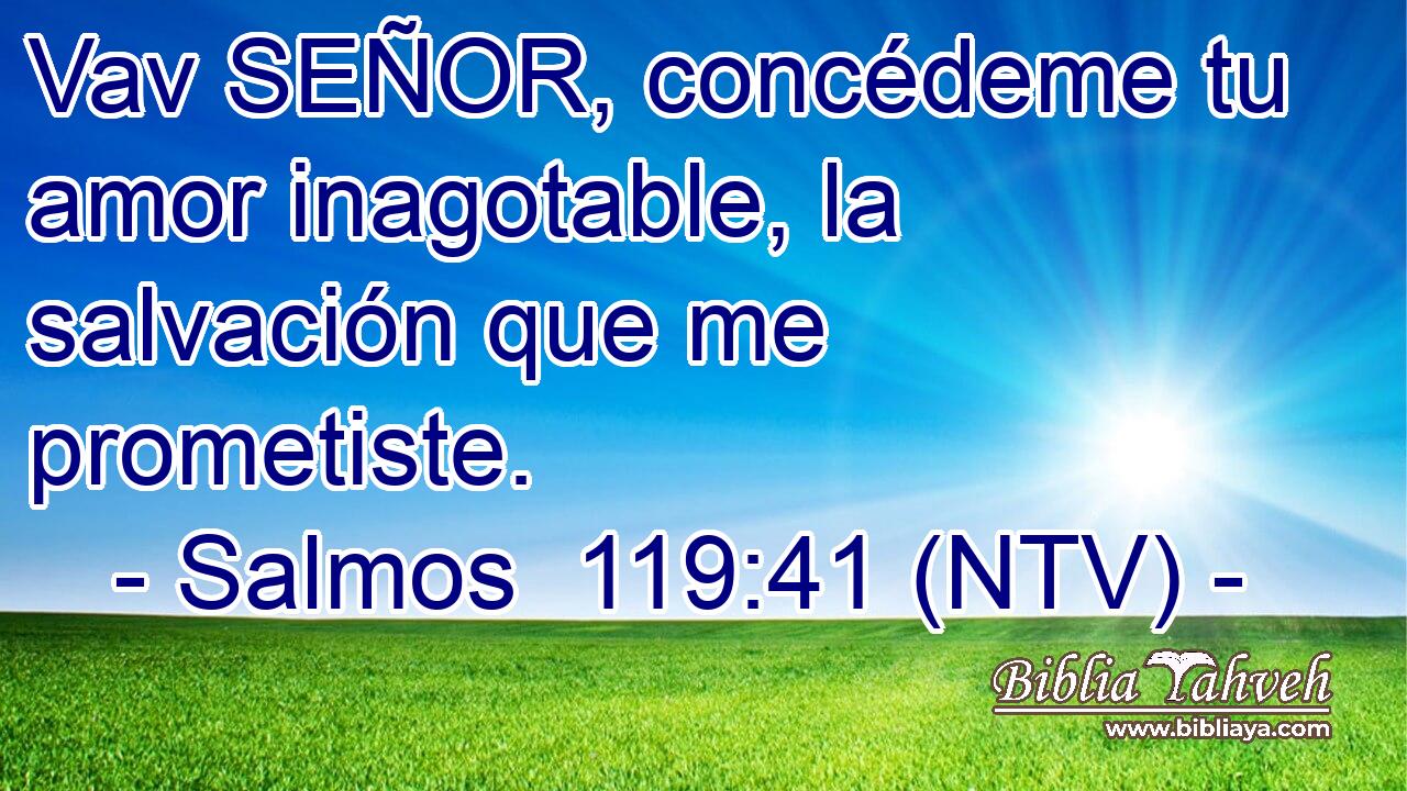 Vav SEÑOR, concédeme tu amor inagotable, la salvación que me prometiste.