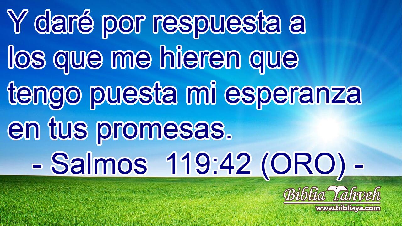  Y daré por respuesta a los que me hieren que tengo puesta mi esperanza en tus promesas. 