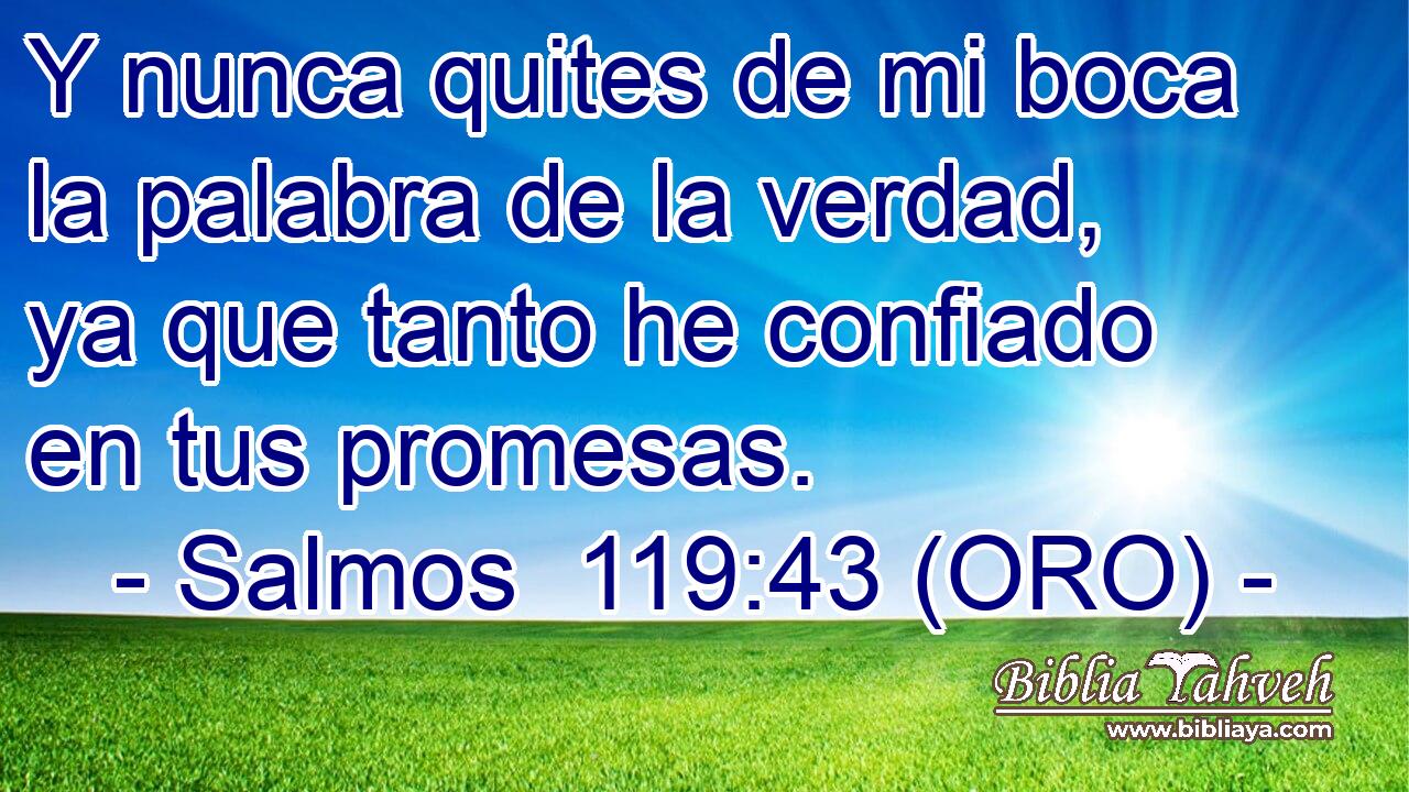  Y nunca quites de mi boca la palabra de la verdad, ya que tanto he confiado en tus promesas. 