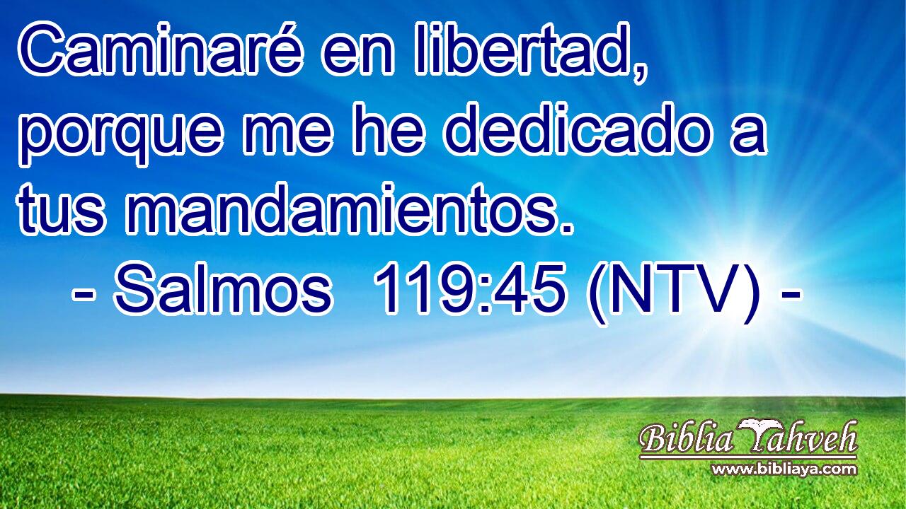 Caminaré en libertad, porque me he dedicado a tus mandamientos.