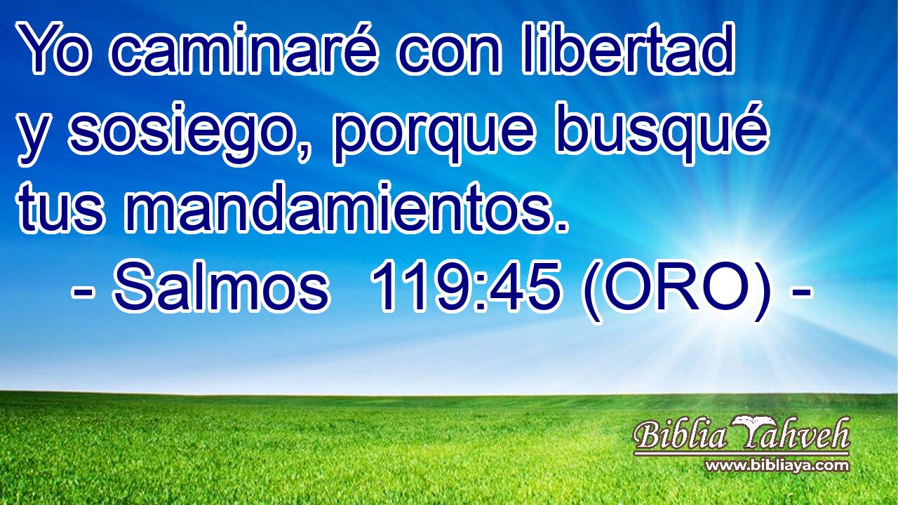  Yo caminaré con libertad y sosiego, porque busqué tus mandamientos. 