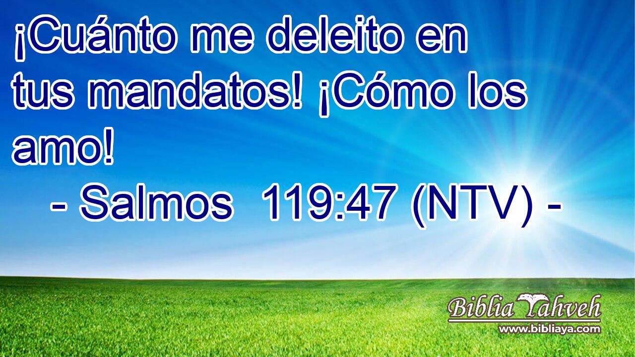¡Cuánto me deleito en tus mandatos! ¡Cómo los amo!