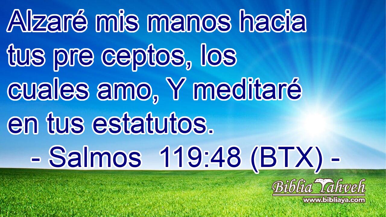 Alzaré mis manos hacia tus pre ceptos, los cuales amo, Y meditaré en tus estatutos.