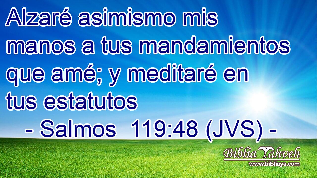 Alzaré asimismo mis manos a tus mandamientos que amé; y meditaré en tus estatutos