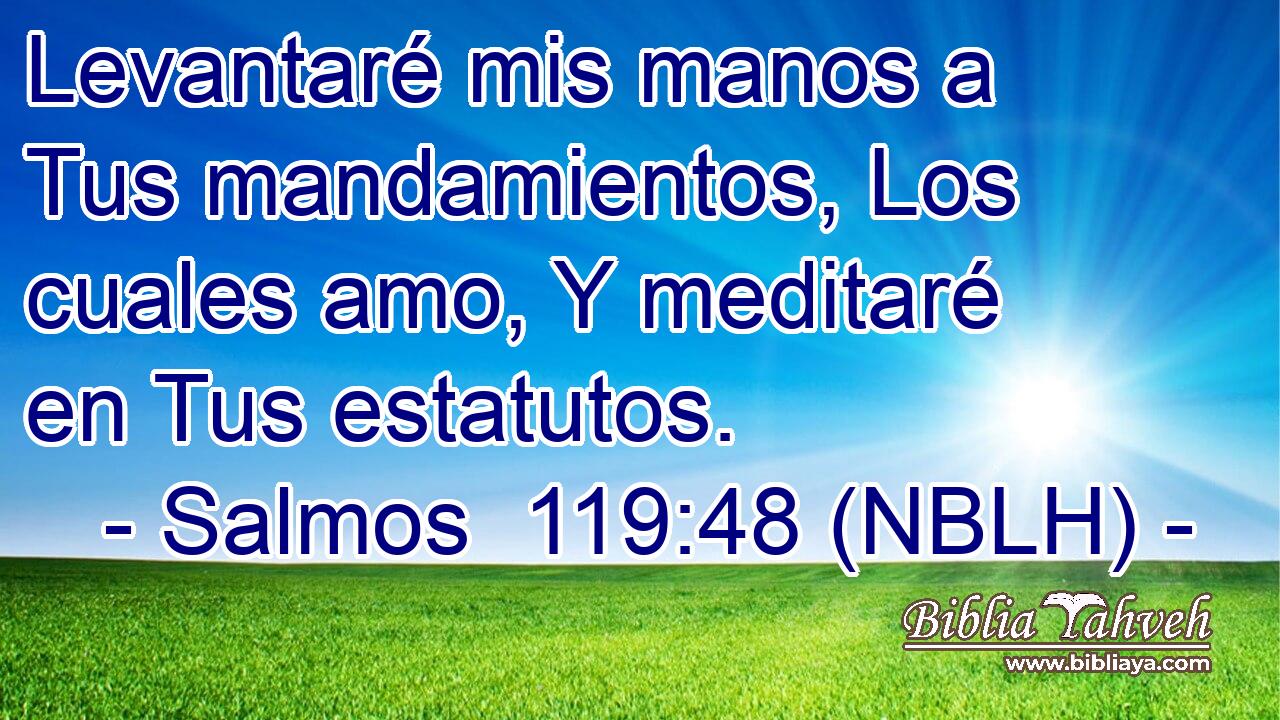  Levantaré mis manos a Tus mandamientos, Los cuales amo, Y meditaré en Tus estatutos. 