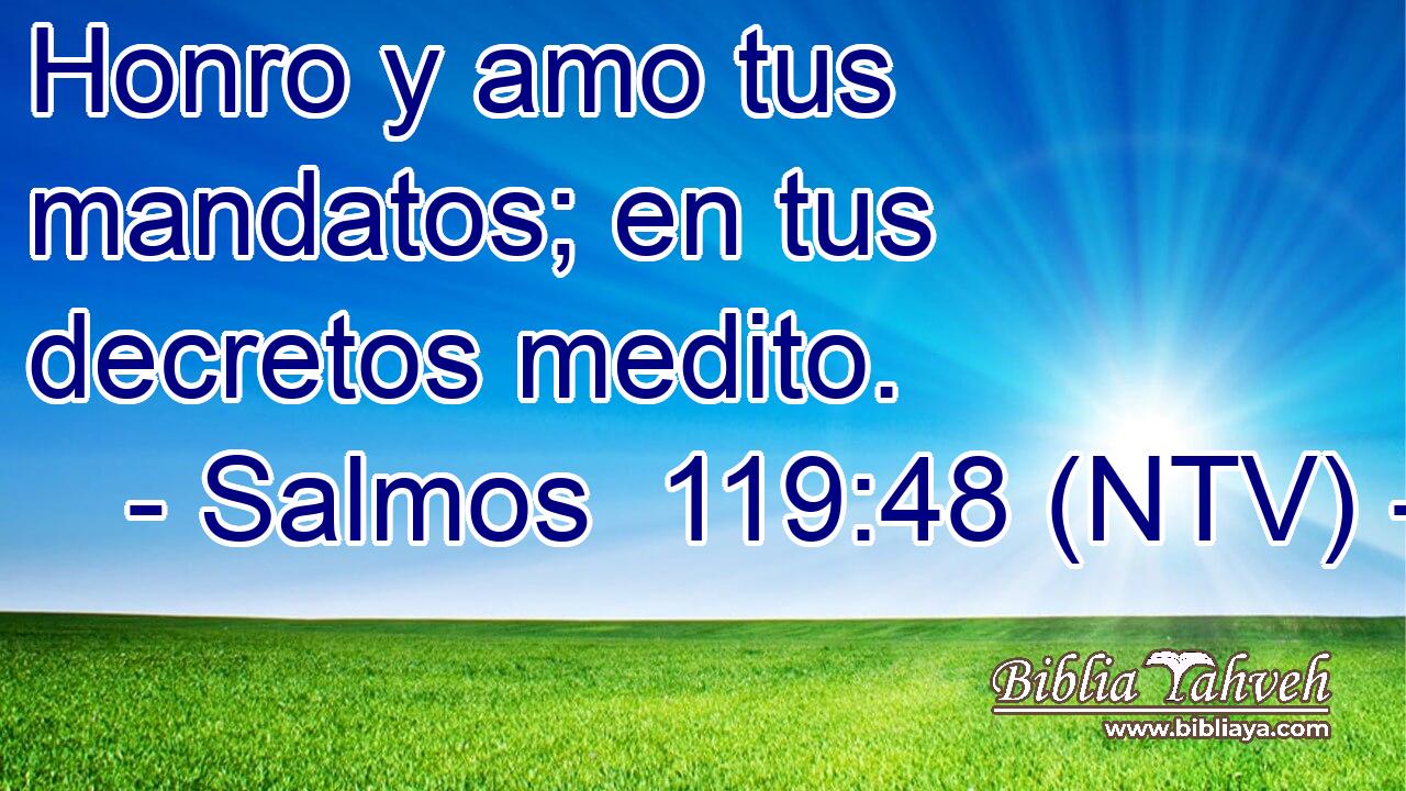 Honro y amo tus mandatos; en tus decretos medito.