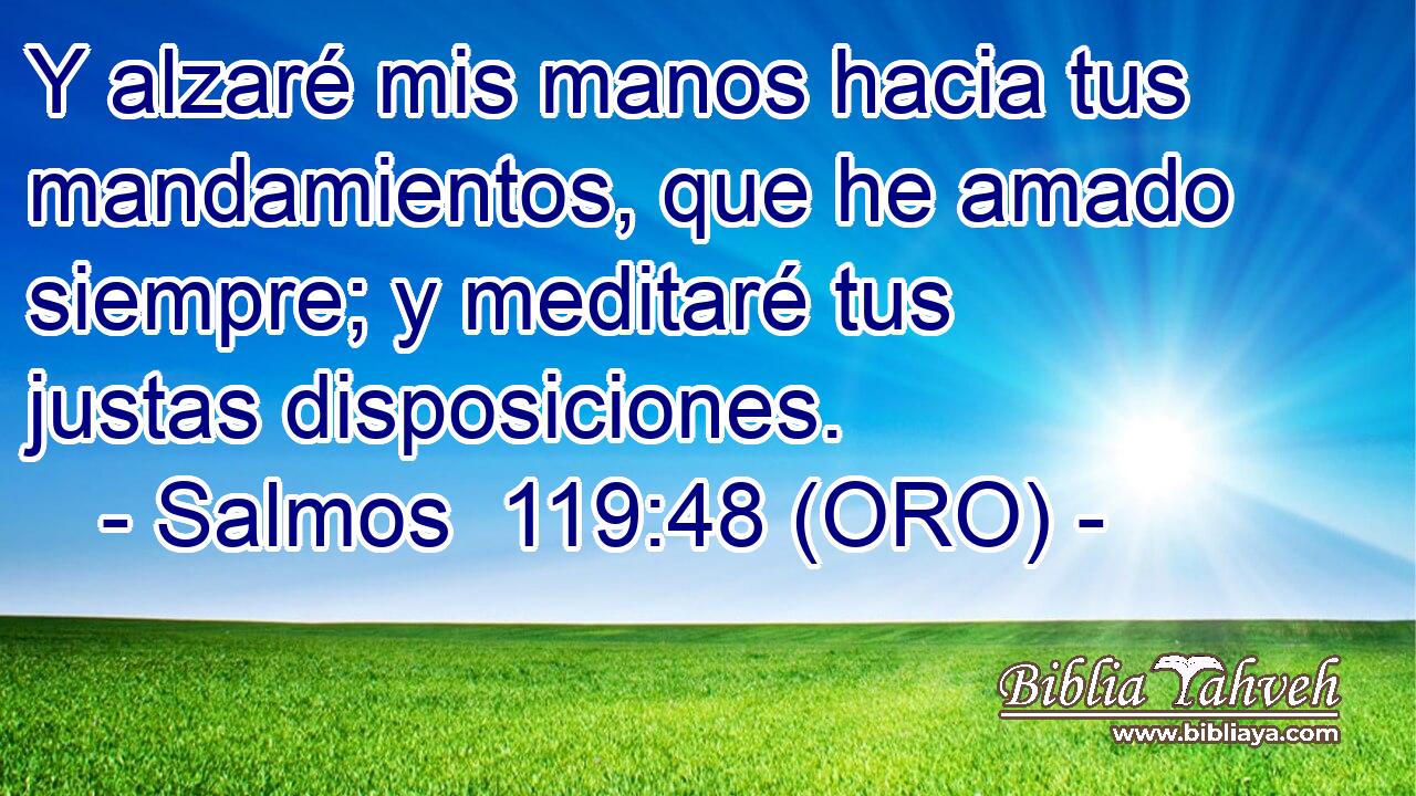  Y alzaré mis manos hacia tus mandamientos, que he amado siempre; y meditaré tus justas disposiciones. 