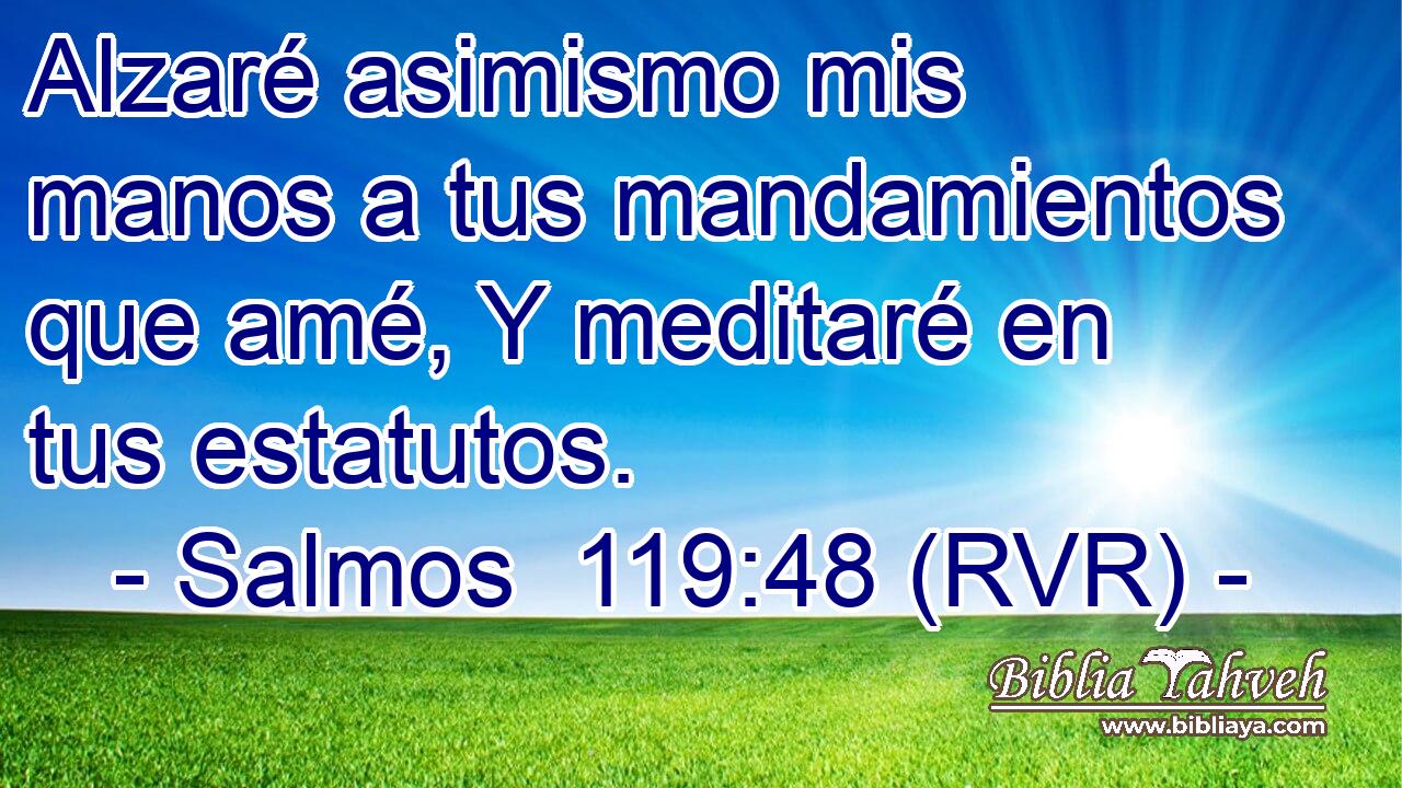 Alzaré asimismo mis manos a tus mandamientos que amé, Y meditaré en tus estatutos.
