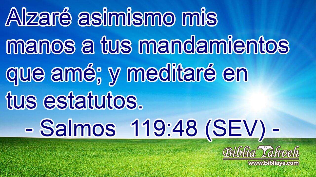 Alzaré asimismo mis manos a tus mandamientos que amé; y meditaré en tus estatutos.