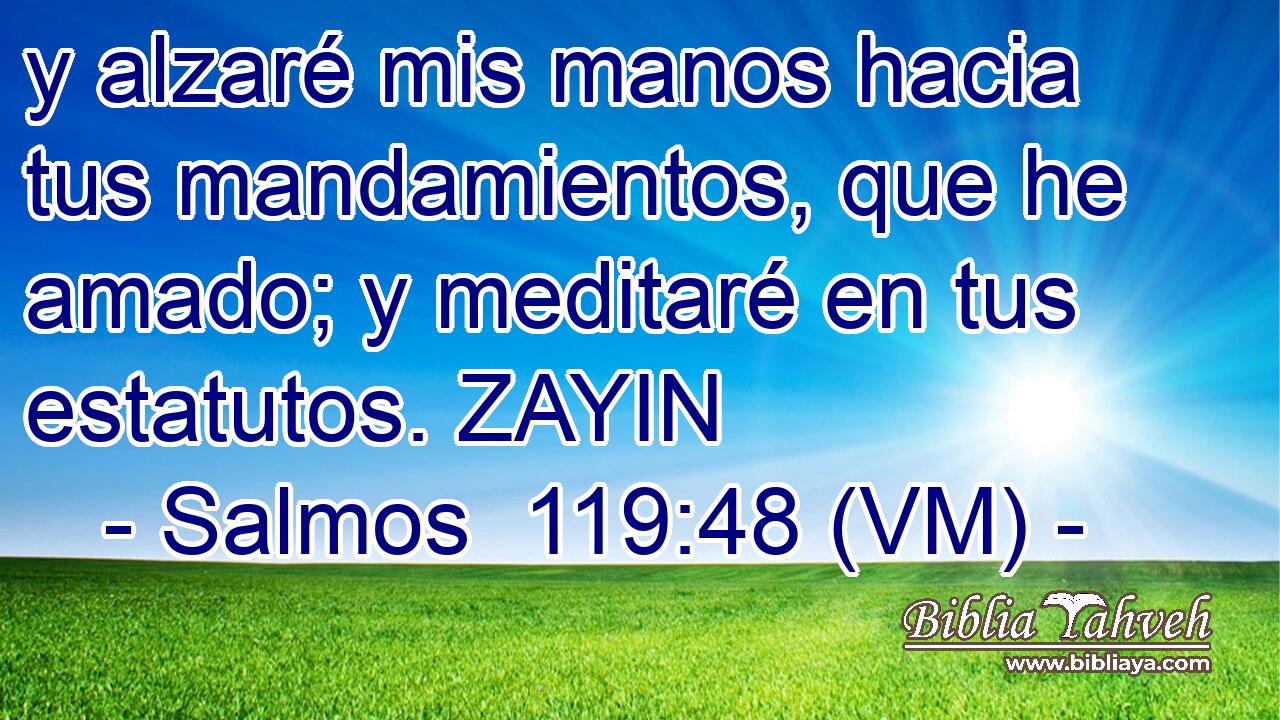  y alzaré mis manos hacia tus mandamientos, que he amado; y meditaré en tus estatutos. ZAYIN 