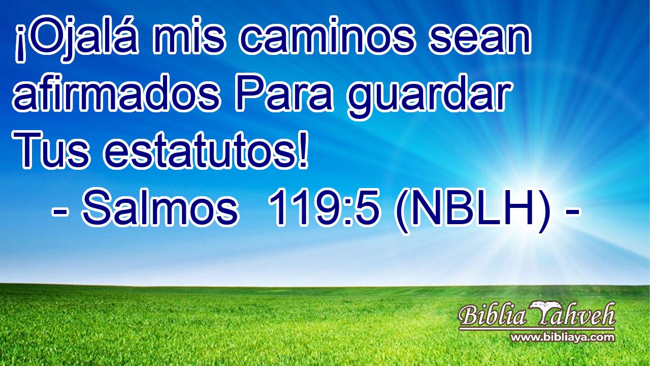  ¡Ojalá mis caminos sean afirmados Para guardar Tus estatutos! 