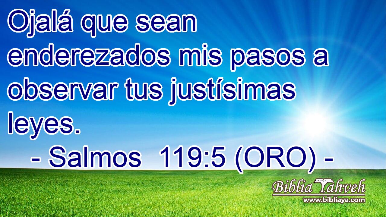  Ojalá que sean enderezados mis pasos a observar tus justísimas leyes. 