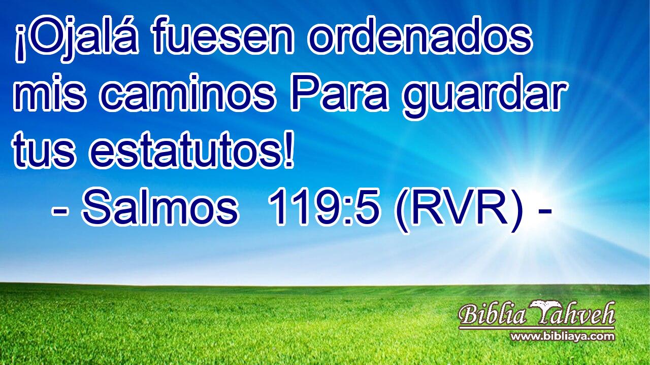 ¡Ojalá fuesen ordenados mis caminos Para guardar tus estatutos!