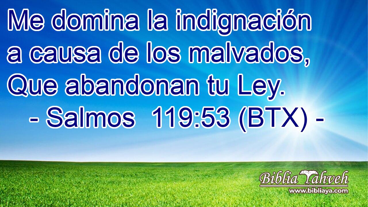 Me domina la indignación a causa de los malvados, Que abandonan tu Ley.