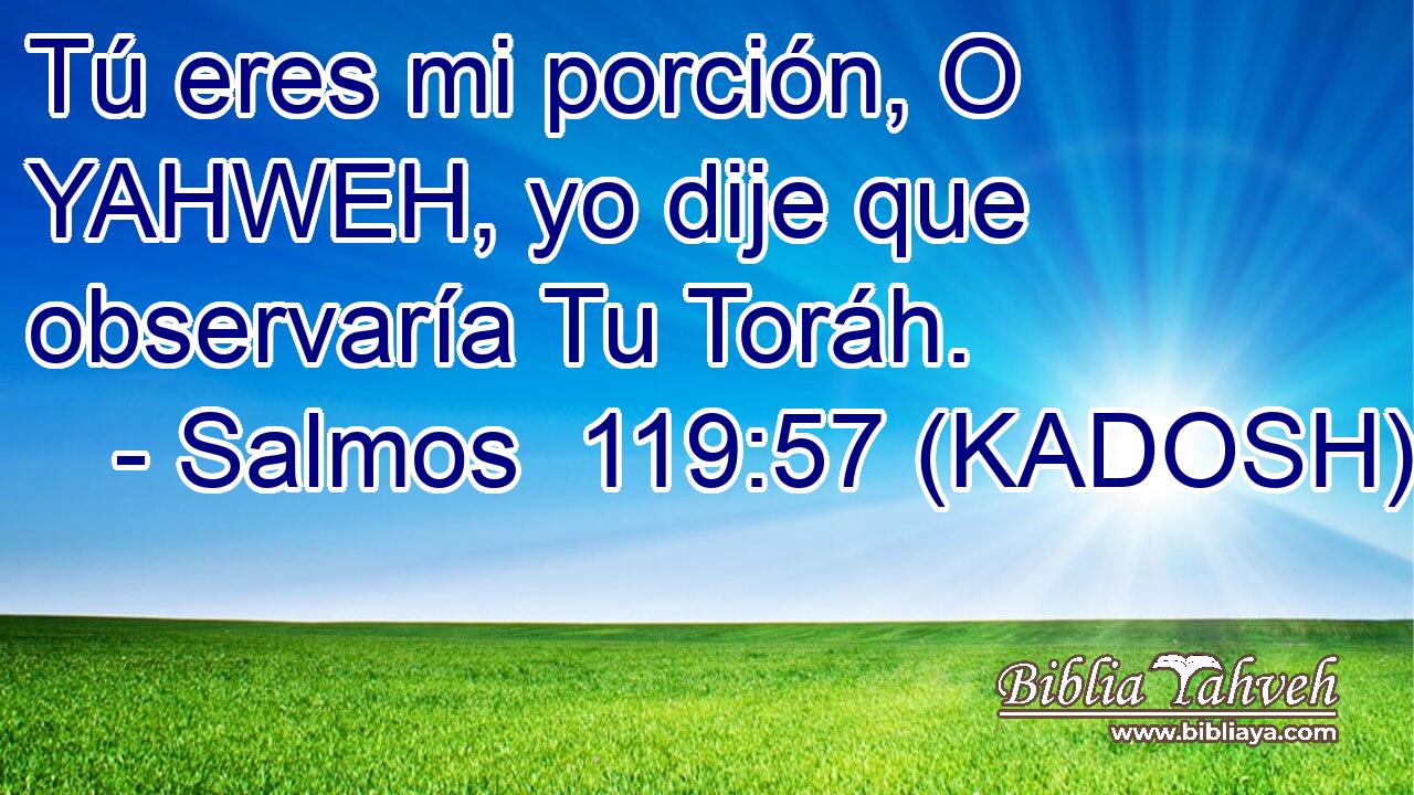  Tú eres mi porción, O YAHWEH, yo dije que observaría Tu Toráh. 