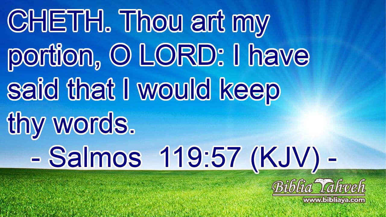 CHETH. Thou art my portion, O LORD: I have said that I would keep thy words.