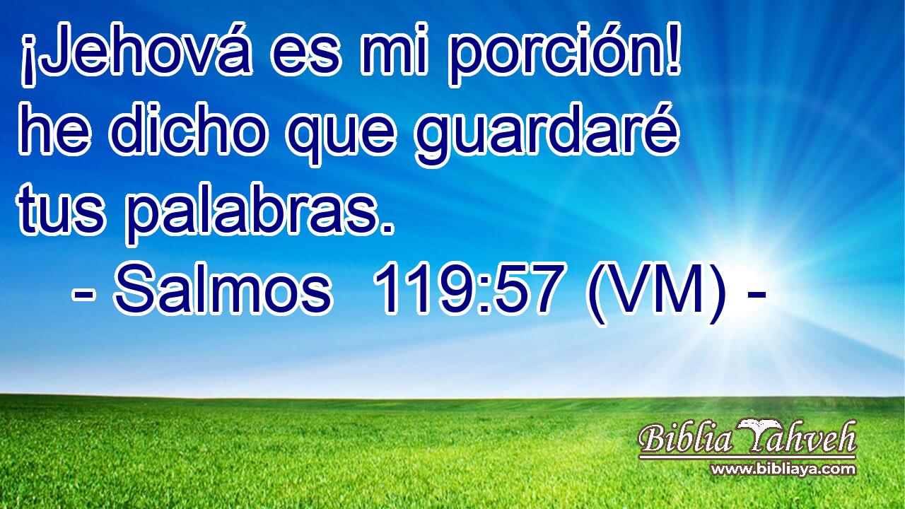  ¡Jehová es mi porción! he dicho que guardaré tus palabras. 