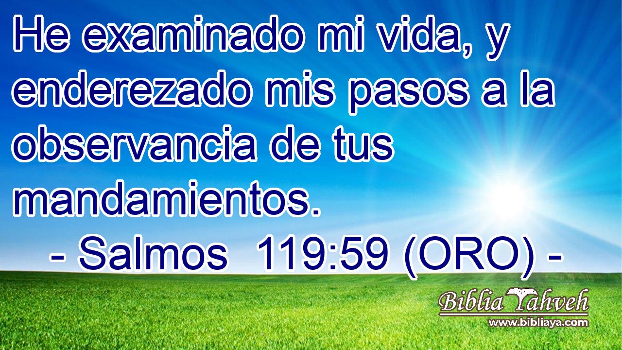  He examinado mi vida, y enderezado mis pasos a la observancia de tus mandamientos. 