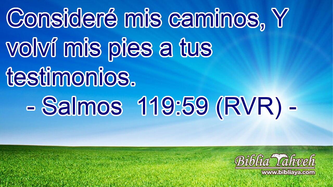 Consideré mis caminos, Y volví mis pies a tus testimonios.