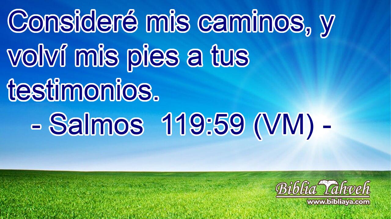  Consideré mis caminos, y volví mis pies a tus testimonios. 