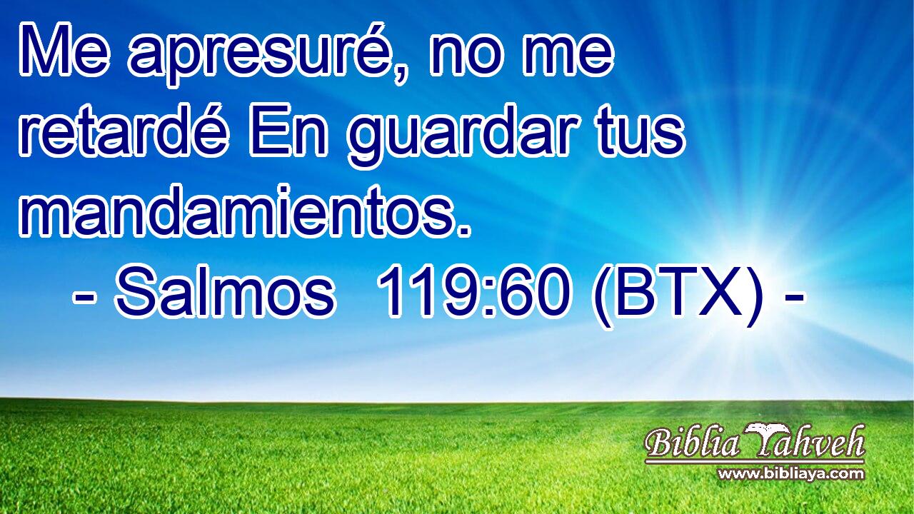 Me apresuré, no me retardé En guardar tus mandamientos.