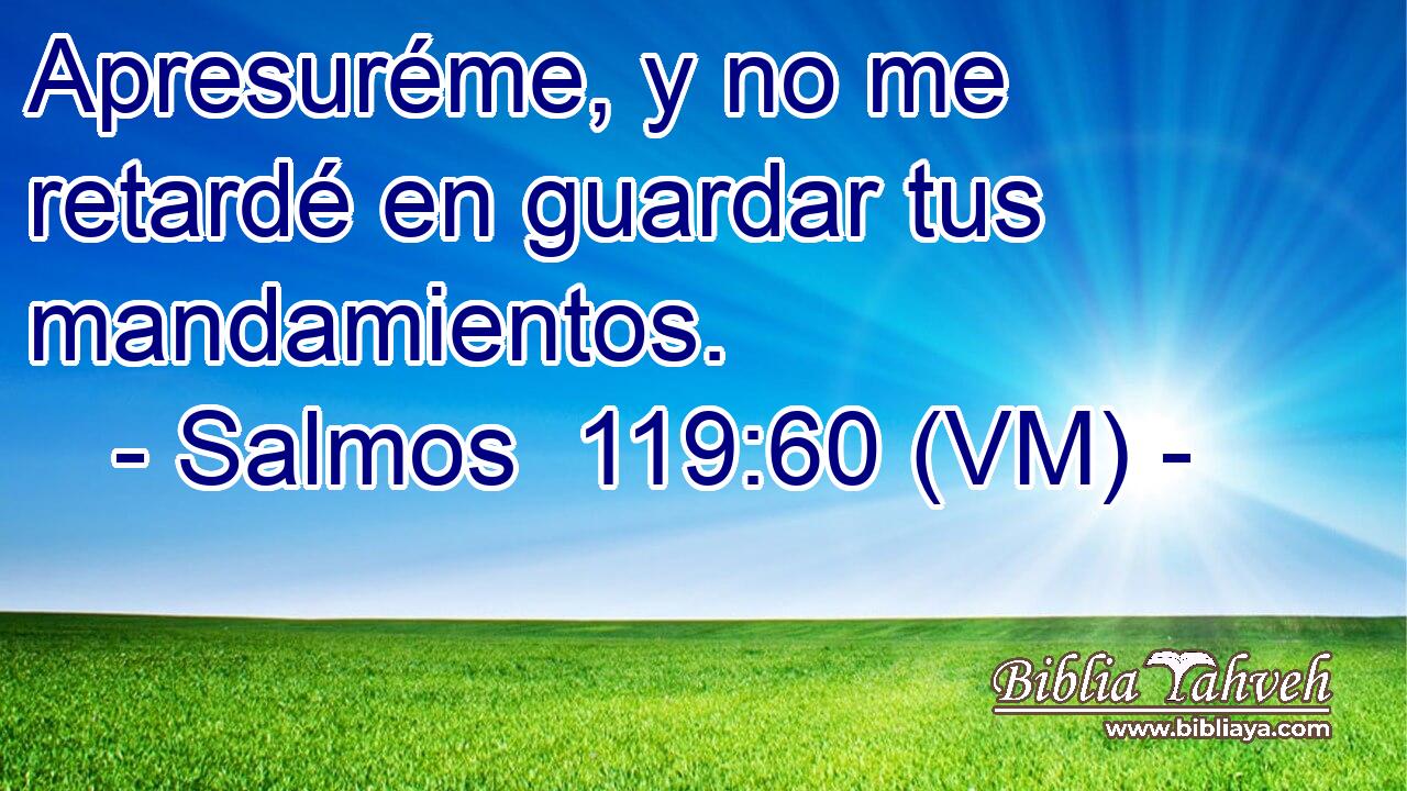 Salmos 119:60 (VM) - Apresuréme, Y No Me Retardé En Guardar Tu...