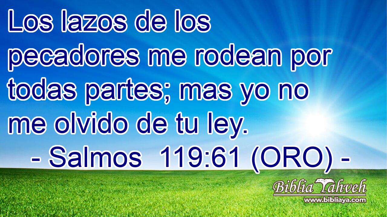  Los lazos de los pecadores me rodean por todas partes; mas yo no me olvido de tu ley. 