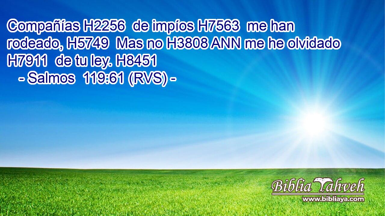 Compañías H2256  de impíos H7563  me han rodeado, H5749  Mas no H3808 ANN me he olvidado H7911  de tu ley. H8451  