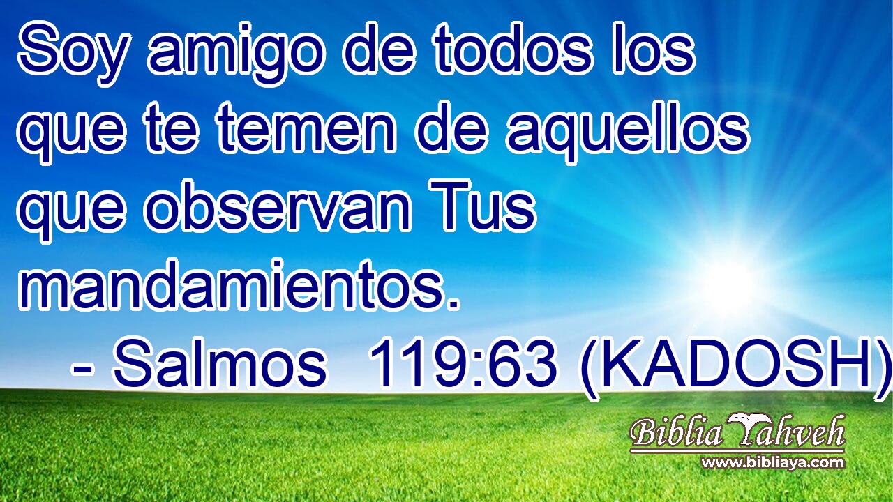  Soy amigo de todos los que te temen de aquellos que observan Tus mandamientos. 