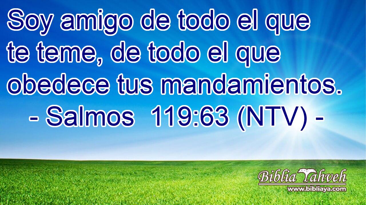 Soy amigo de todo el que te teme, de todo el que obedece tus mandamientos.