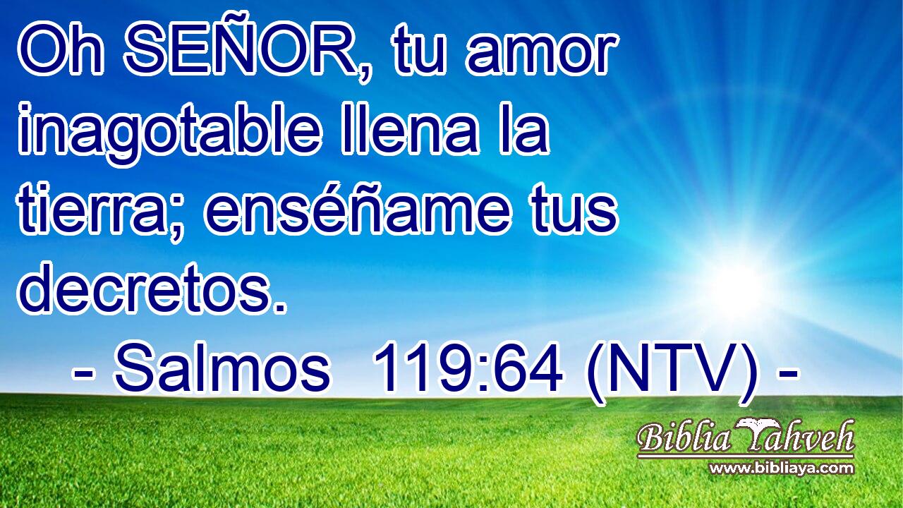 Oh SEÑOR, tu amor inagotable llena la tierra; enséñame tus decretos.