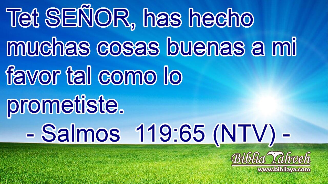 Tet SEÑOR, has hecho muchas cosas buenas a mi favor tal como lo prometiste.