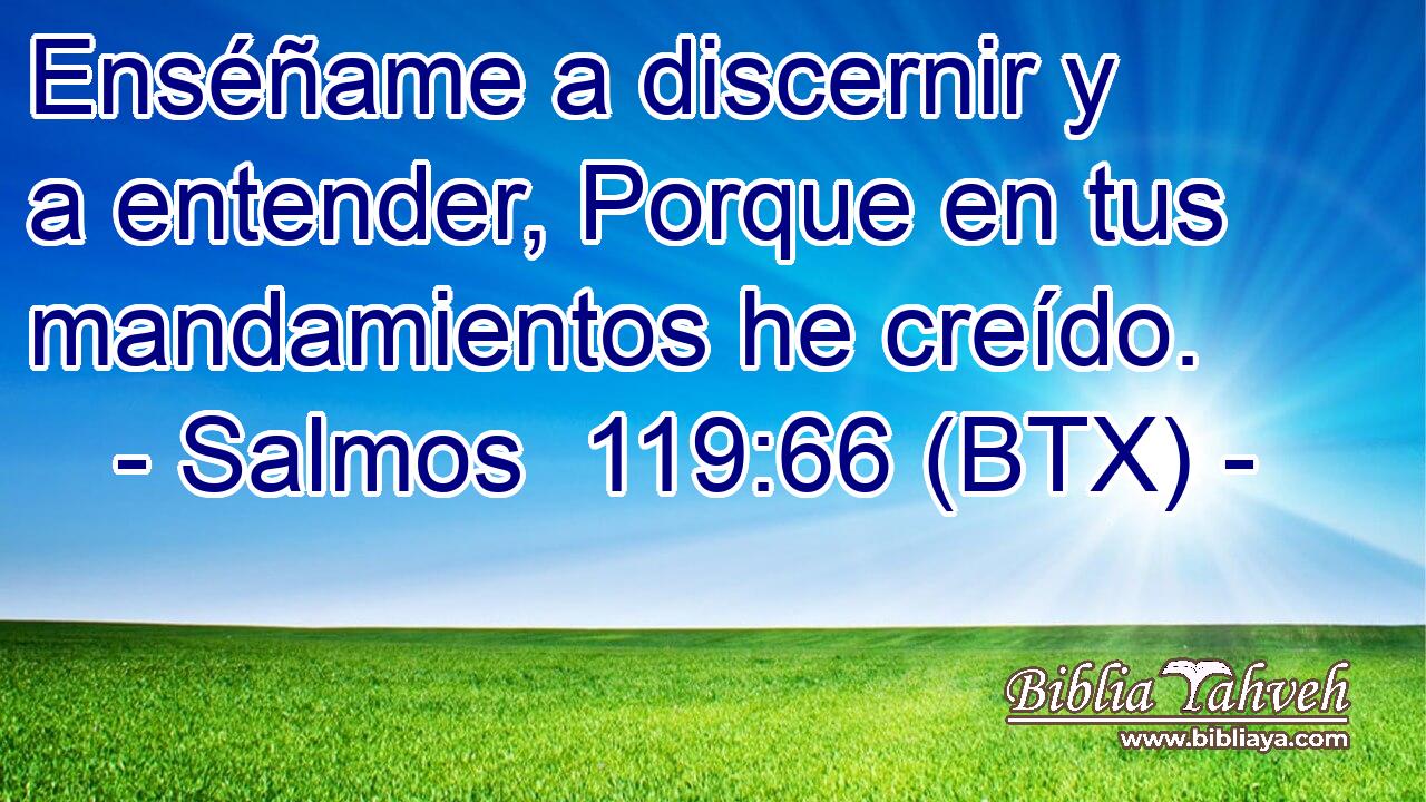 Enséñame a discernir y a entender, Porque en tus mandamientos he creído.