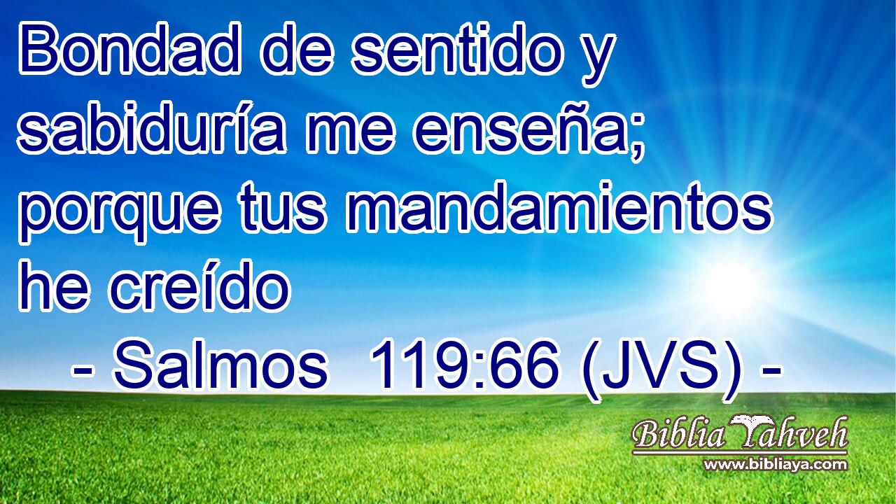 Bondad de sentido y sabiduría me enseña; porque tus mandamientos he creído