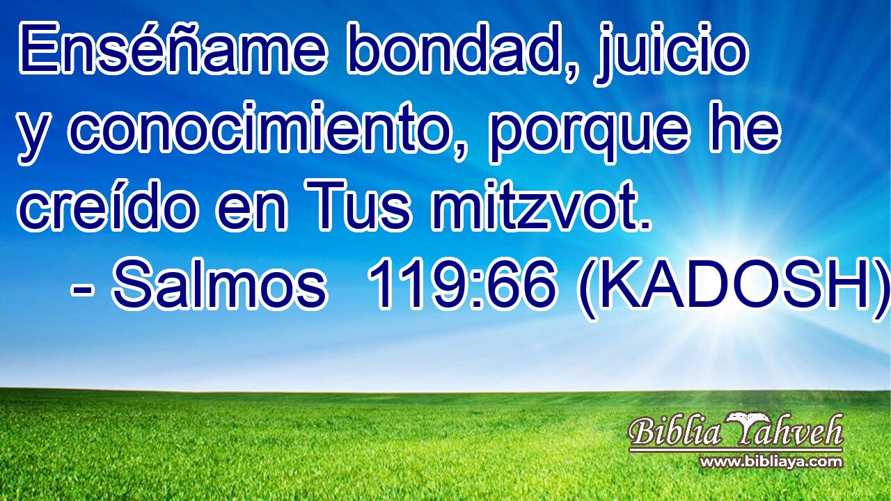  Enséñame bondad, juicio y conocimiento, porque he creído en Tus mitzvot. 