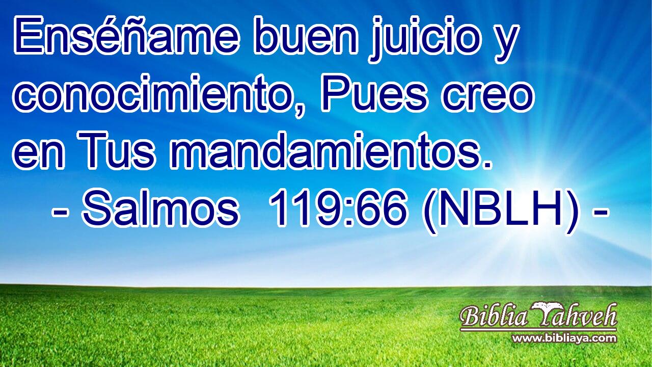  Enséñame buen juicio y conocimiento, Pues creo en Tus mandamientos. 