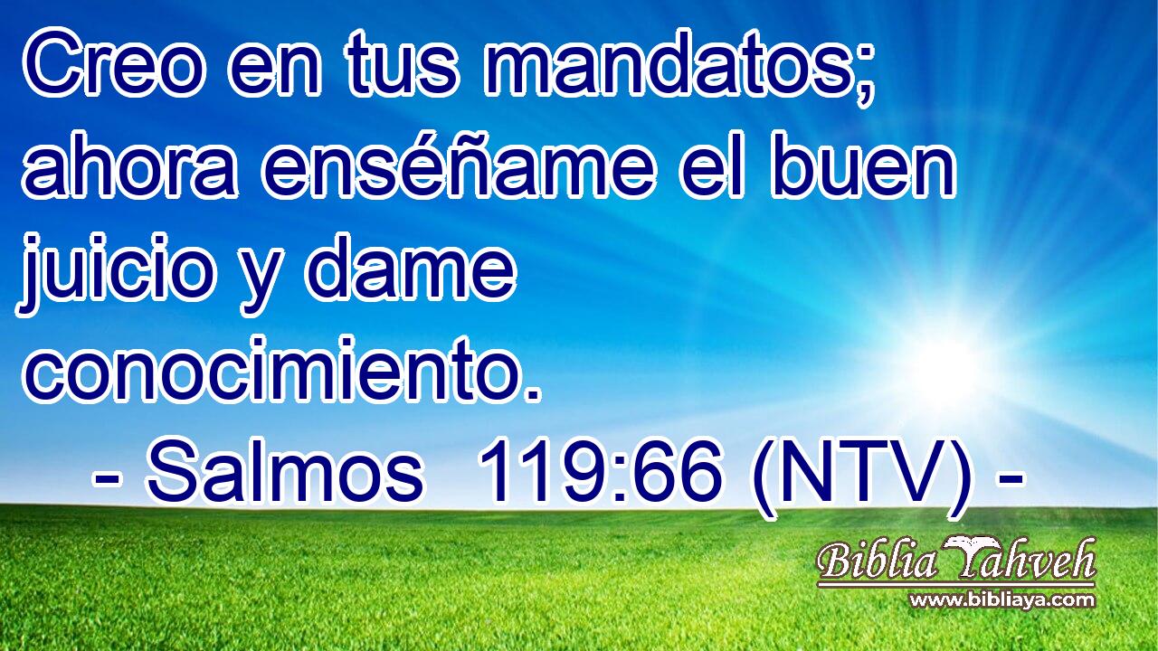Creo en tus mandatos; ahora enséñame el buen juicio y dame conocimiento.