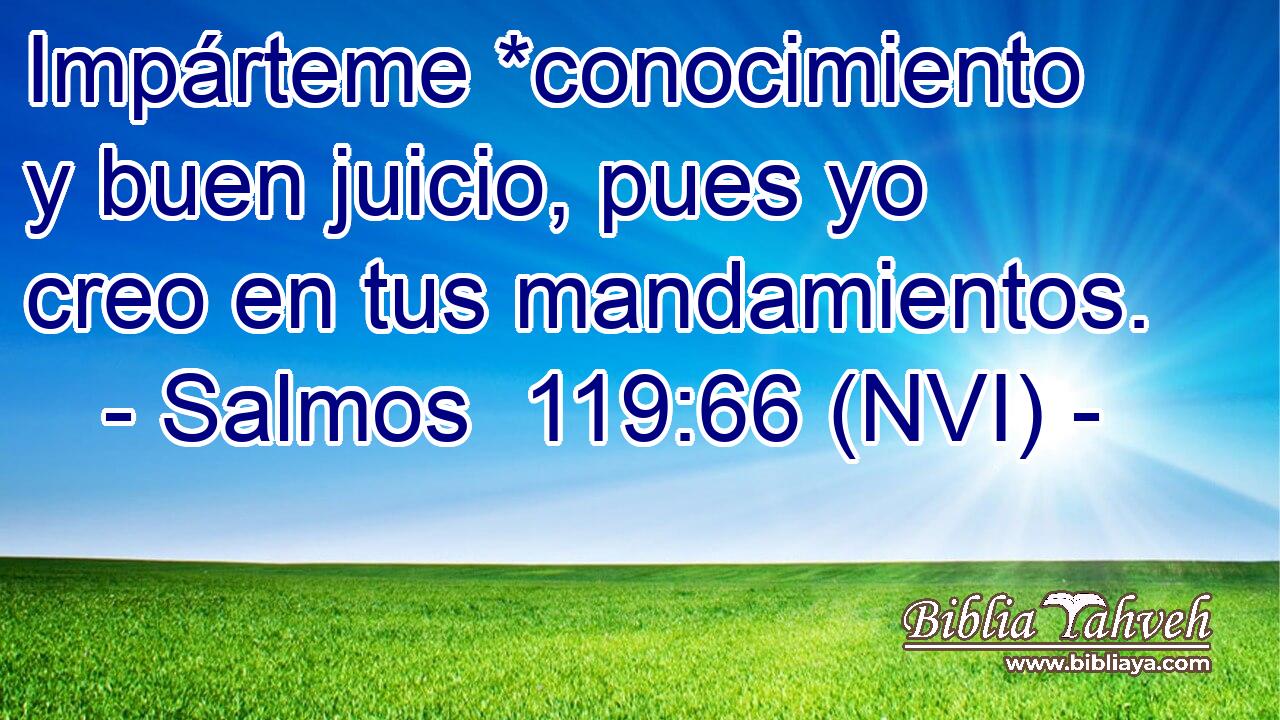 Impárteme *conocimiento y buen juicio, pues yo creo en tus mandamientos. 